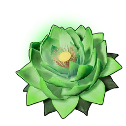 生命之莲（大）