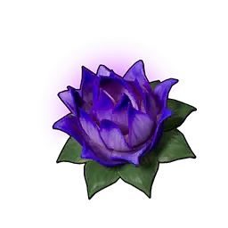 耐重之莲（小）