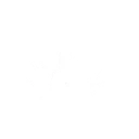 暗狐秘咒
