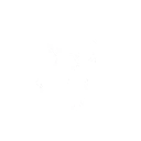 工蜂