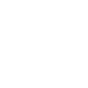 善良的圣洁之龙